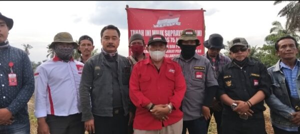 LSM PELITA Lampung Kembali Lakukan Pengolahan Tanah yang di Kuasakan