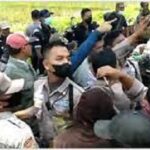 PTPN 7 Tanam Kembali Pohon di Lahan Sengketa, LSM Pelita Mencegah