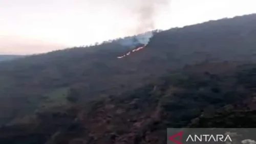 Kebakaran Landa Kawasan Hutan Penyangga di Lereng Gunung Merbabu