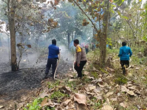 Kebakaran Lahan di Dusun Salahudin, Desa Negeri Sakti, Gedong Tataan, Pesawaran