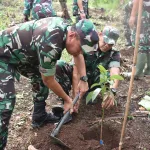 Hijaukan Lampung, Korem 043/Gatam Tanam 6.300 Batang Pohon