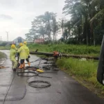 PLN UID Lampung Imbau Warga Tingkatkan Kewaspadaan Hadapi Cuaca Ekstrem hingga Bencana Banjir