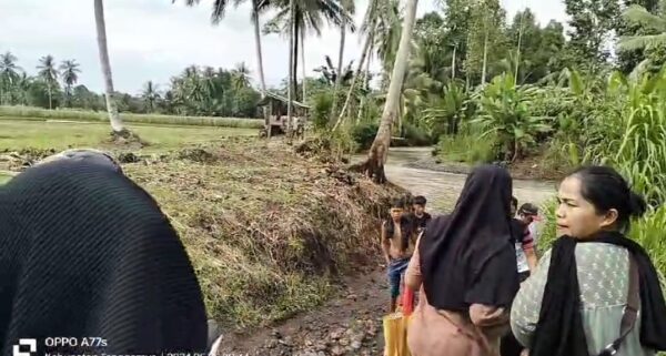 Masyarakat Pekon Sampang Turus, Harapkan Pemerintah Daerah Segera Realisasikan Jembatan Permanen