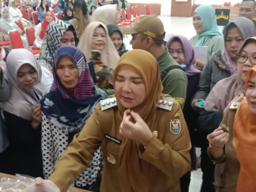 Walikota Bandar Lampung Eva Dwiana Hadiri Pelatihan Kewirausahaan Bagi Pelaku Usaha Pemula