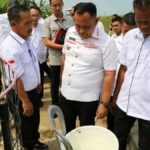 Bupati Lampung Selatan Apresiasi Budidaya Benur dan Udang Vaname di Desa Way Muli