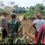 Camat Sukau dan Kapolsek Balik Bukit, Peduli ,Cepat Tepat, Tinjau Lokasi Longsor