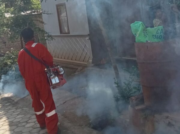 Keluhan Warga Sumber Rejo Terkait Penanganan DBD