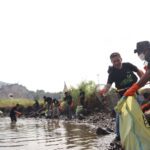 Peringati Hari Lingkungan Hidup, PLN Ajak Mahasiswa Gelar Aksi Bersih Pantai di Lampung