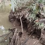 Polsek Wonosobo Cek TKP dan Kunjungi Korban Gigitan Buaya di Way Semaka