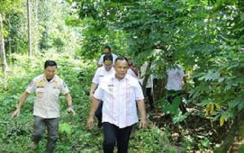 Jalan Kaki Lewati Kebun Becek, Nanang Salurkan Bantuan Kepada Korban Kebakaran