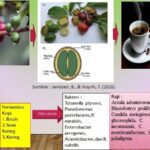 Teknologi Fermentasi untuk Menyulap Limbah Kopi Menjadi Minuman Bernutrisi