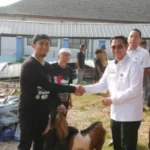 Dalam Rangka Menyambut Hari Raya Idul Adha 1445 H, RSUD Abdoel Moeloek Menyelenggarakan Penyembelihan Hewan Qurban