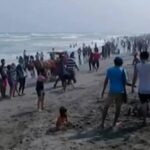 Gelombang Tinggi, Wisatawan Dilarang Berenang di Pantai Selatan Banten