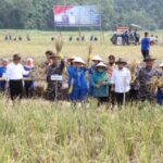 Mentan dan Wakasal Bersama Pj. Gubernur Lampung Panen Raya Padi dan Jagung di Pantai Caligi, Pesawaran