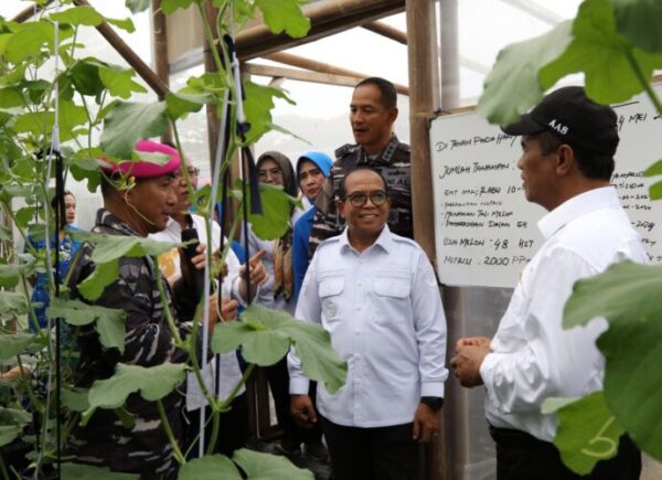 Pj. Gubernur Dampingi Mentan dan Wakasal Kunjungi Program Ketahanan Pangan di Markas Komando Brigif 4 Padang Cermin, Pesawaran