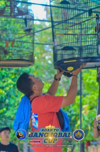 Road to Bang Iqbal, Relawan Menggelar Pameran dan Lomba Burung Berkicau