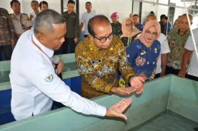 Pj. Gubernur Lampung Buka FGD Optimalisasi Pengelolaan Benih Bening Lobster untuk Kesejahteraan Nelayan dan Peningkatan Pendapatan Daerah