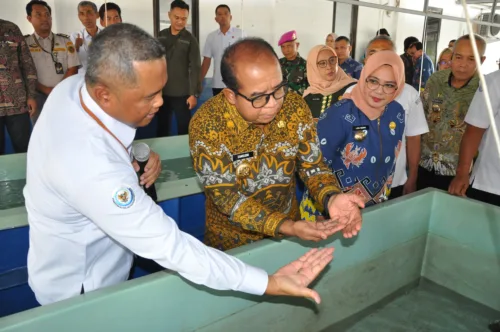 Pj. Gubernur Lampung Buka FGD Optimalisasi Pengelolaan Benih Bening Lobster untuk Kesejahteraan Nelayan dan Peningkatan Pendapatan Daerah