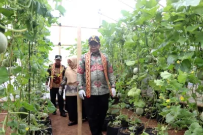 Pj. Gubernur Lampung Resmikan Poskesdes dan Panen Melon Bersama KWT di Tanggamus