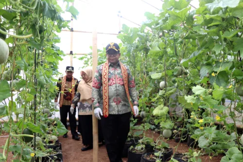 Pj. Gubernur Lampung Resmikan Poskesdes dan Panen Melon Bersama KWT di Tanggamus