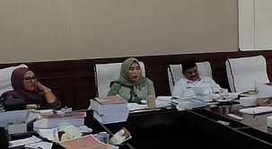 Komisi IV DPRD Lamsel Rekomendasikan Penambahan Armada Damkar