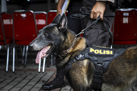 KAI Siagakan 9.768 Personel-Anjing Pelacak Selama Nataru