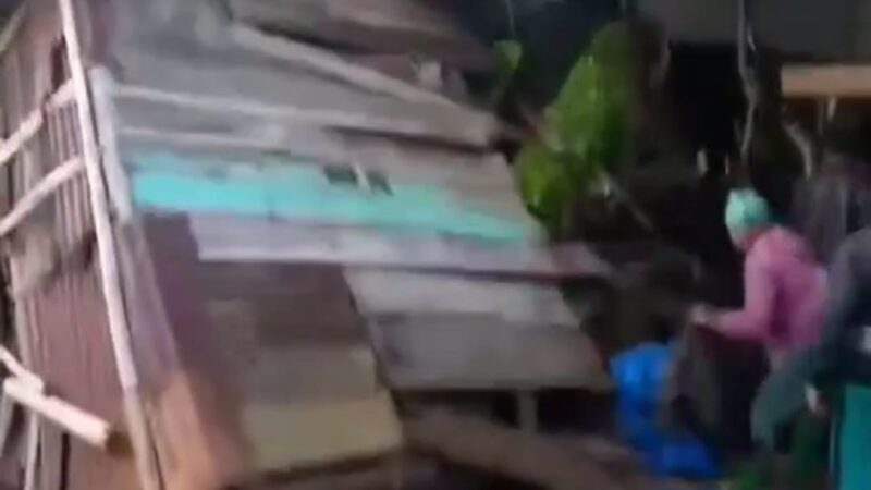 Kawanan Gajah Rusak 7 Rumah Warga di Kabupaten Tanggamus