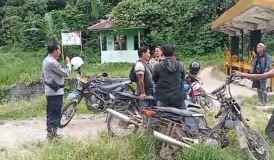 Tim Gabungan Pantau Pergerakan Gajah Liar di Sebrang Sungai Semaka, Tanggamus