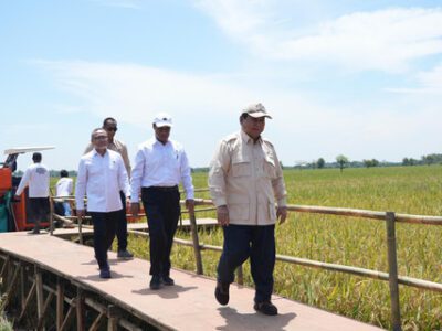 Menko Pangan Zulkifli Hasan (kiri) dampingi Presiden Prabowo Subianto saat panen raya di Majalengka, Provinsi Jawa Barat, pada Senin, 7 April 2025. Foto: Dok. Istimewa