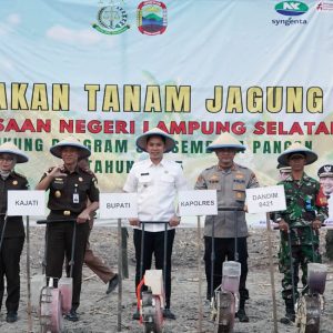 Bukti! Bupati dan Kajati Lampung Tanam Perdana Jagung di Kalianda, Dorong Ketahanan Pangan dan Pendampingan Petani