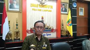 Kadis Kominfotik: Lampung Jaga Optimisme, Fenomena Ekonomi Membaik, Kemiskinan Menurun