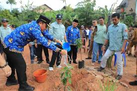 Komitmen Kabupaten Konservasi, Parosil Mabsus Bagikan 240 Pohon Alpukat Siger