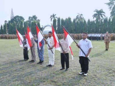 Tegas, Parosil Mabsus Larang Pengibaran Bendera One Piece di Lampung Barat
