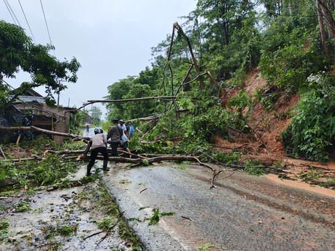 Longsor Timbun Jalan di Limau dan Cukuh Balak, Tanggamus, Akses Transportasi Lumpuh
