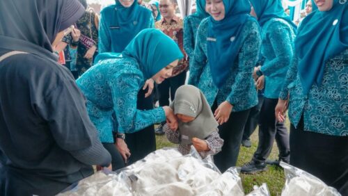 Ketua TP-PKK Lampung Canangkan Pekon Rejomulyo sebagai Desa TAPIS, Wujudkan Kesejahteraan Keluarga dan Desa Maju