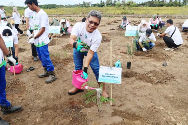 Hari Menanam Pohon Indonesia 2025, PLN Group Provinsi Lampung Tanam Seribu Pohon Energi