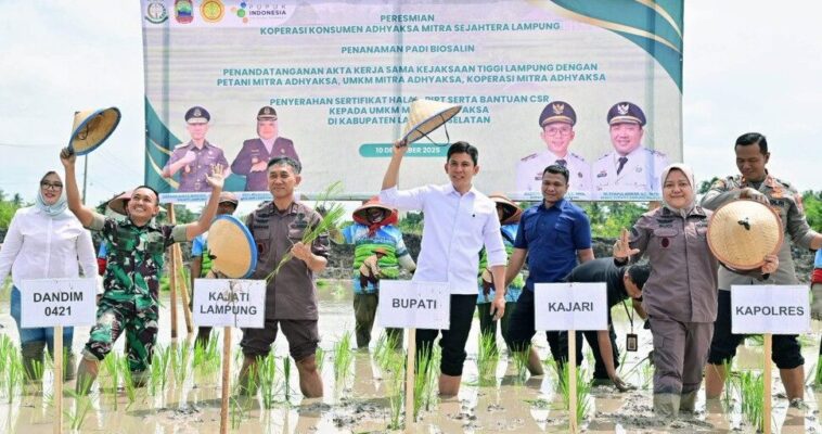 Pemkab Lamsel dan Kejati Lampung Kolaborasi Perkuat Ketahanan Pangan Lewat Padi Biosalin di Sragi