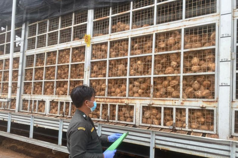 Karantina Kepri Fasilitasi Ekspor 129,4 Ton Santan Kelapa Beku Bintan ke China