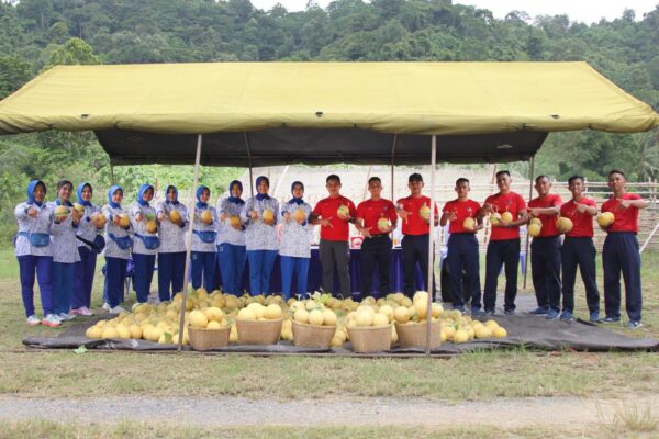 Yonif 7 Marinir Panen Melon di Marines 7 Ranch Pesawaran
