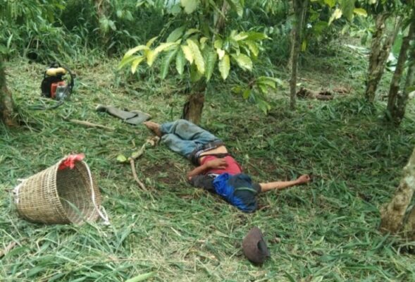 Pemuda 23 Tahun Ditemukan Tewas di Kebun Lampung Barat, Polisi Buru Terduga Pelaku