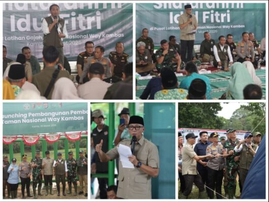 Pemerintah Bangun Pembatas 138 Km di Taman Nasional Way Kambas, Solusi Permanen Konflik Gajah-Manusia