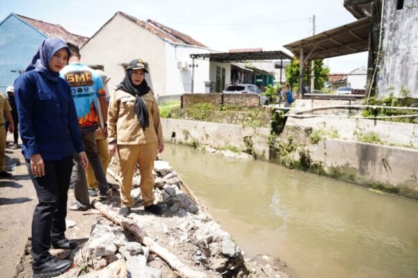 Tinjau Drainase Pascahujan, Wali Kota Eva Dwiana Pastikan Saluran Air di Tanjung Senang Lancar