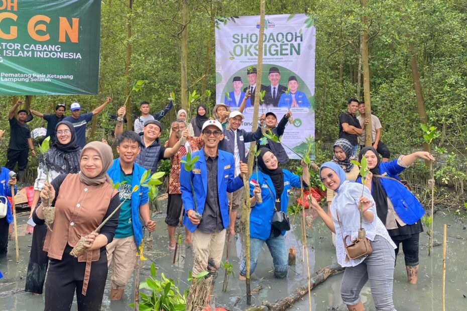 PKC PMII Lampung dan Cabang Se-Lampung Tanam 5.000 Bibit Mangrove di Pematang Pasir: Implementasi Tri Hablum dalam Aksi Nyata Lingkungan