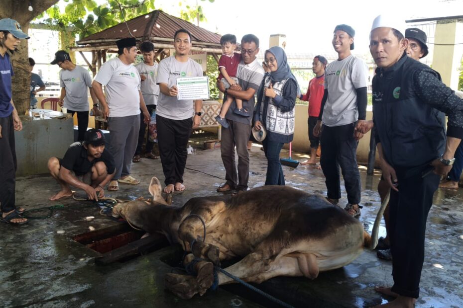 DKM Al Iman Gedong Meneng Gelar Penyembelihan Hewan Qurban 1447 Hijriah