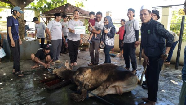 DKM Al Iman Gedong Meneng Gelar Penyembelihan Hewan Qurban 1447 Hijriah