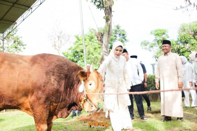 Idul Adha 1447 H, Bupati Pesawaran Ajak Warga Perkuat Kepedulian Sosial dan Semangat Berkurban