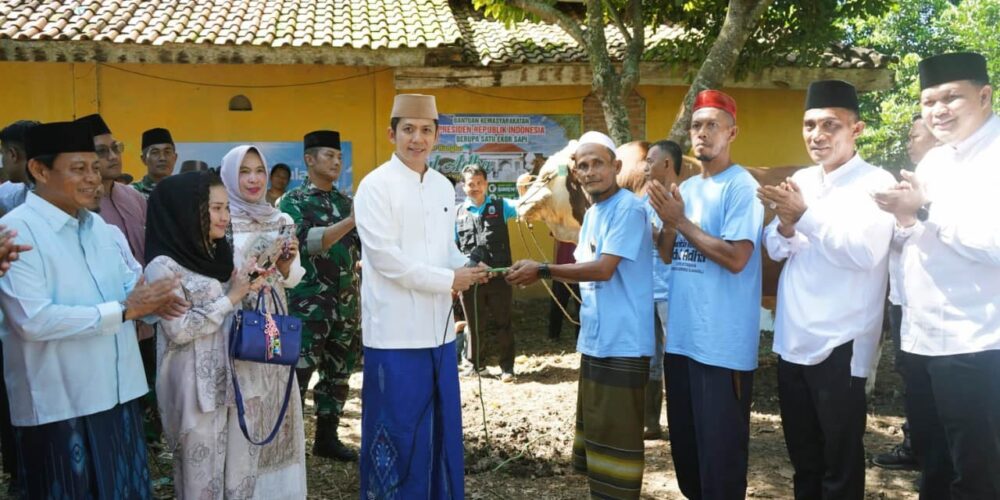 Presiden Prabowo Kirim Sapi Kurban Jumbo 1,051 Ton ke Lampung Selatan, Warga Jati Agung Antusias