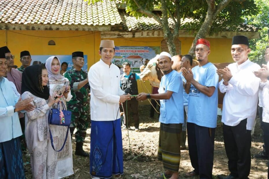 Presiden Prabowo Kirim Sapi Kurban Jumbo 1,051 Ton ke Lampung Selatan, Warga Jati Agung Antusias