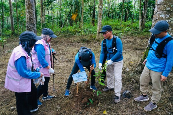 PLN UID Lampung Tanam Pohon di Hari Lingkungan Hidup Sedunia 2026, Perkuat Komitmen ESG dan Aksi Iklim