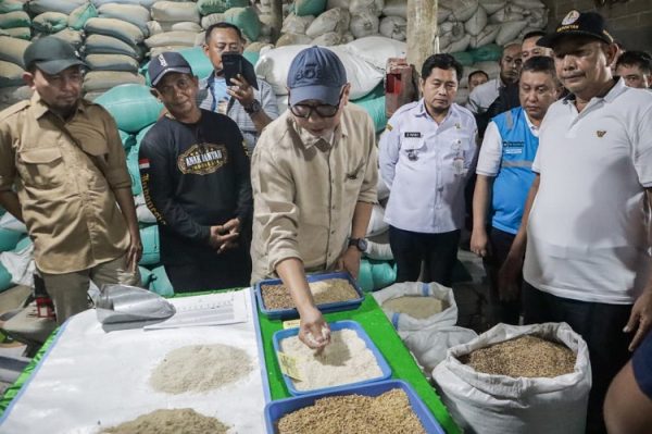 Gubernur Mirza Putus Rantai Kerugian Petani, Harga Gabah di Lampung Naik hingga Rp2.000 per Kilogram